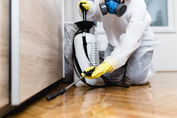 Professional Pest Control in Alabaster, AL
