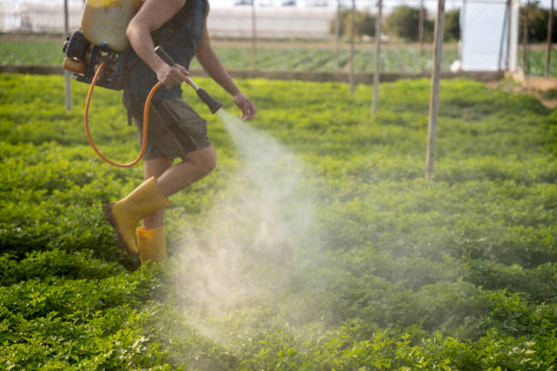 Best Wasp Removal Services  in Abaster, AL