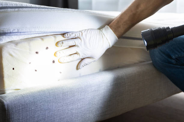 Best Bed Bug Extermination  in Abaster, AL