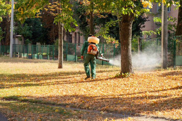 Best Local Pest Control Services  in Abaster, AL